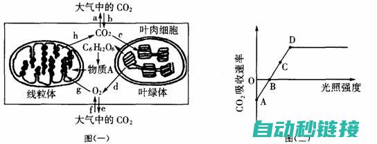 探索假负载在变频器维修中的角色与价值 (假负载原理)