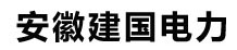 安徽建国电力有限公司